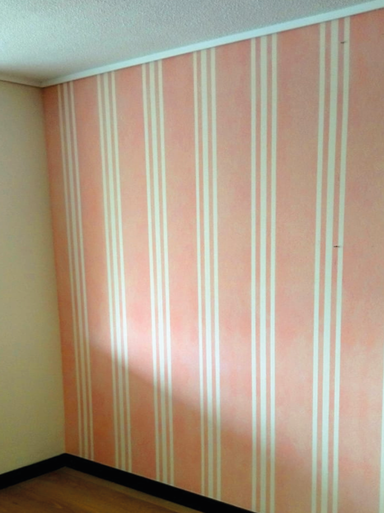 Instalación-Mural-Decorativo-Lineas-Rosadas